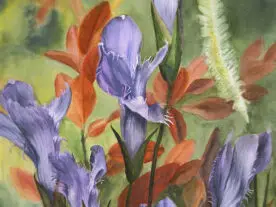 Water color of fringed gentian flowers muted background.